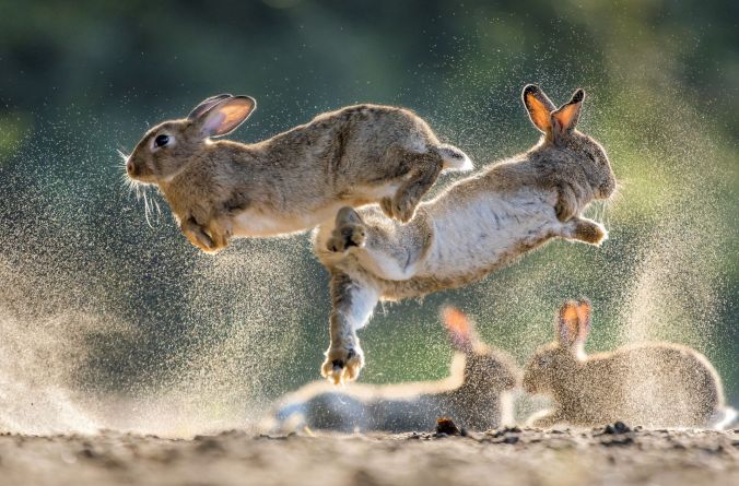 3._Daróczi-Csaba_-_Háború-és-béke_03_1_1104_0707